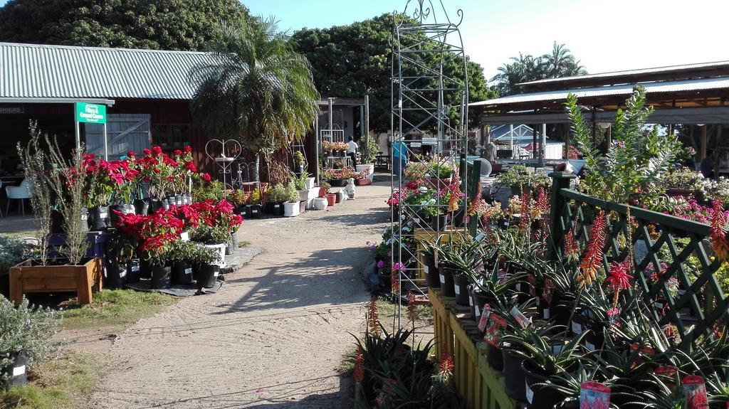 Evergreen Salt Rock Ballito Exterior foto